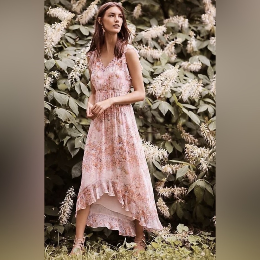 Anthropologie HD in Paris Size‎ 10 Sidra Chiffon Dress Pink Floral Ruffle Sleeve